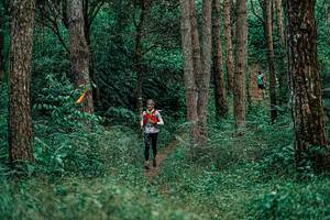 BIB: 
                            <button type="button" onclick="openModal(25237703)" class="btn btn-primary btn-sm float-right btn-popup" data-toggle="modal" data-target=".modal-high-quality">
                        <i class="fas fa-shopping-cart"></i> Add to Cart
                    </button>
                                            <button type="button" onclick="isThisMe(25237703, true)" class="btn btn-success btn-sm float-right btn-popup btn-isme hidden" data-toggle="tooltip" data-placement="bottom" title="นี่คือรูปของคุณใช่ไหม คลิกที่นี่เพื่อเอาเข้าอัลบั้ม">
                        <i class="fas fa-plus"></i> Add to album
                    </button>
                    <button type="button" onclick="isThisMe(25237703, false)" class="btn btn-warning btn-sm float-right btn-popup btn-isnotme hidden">
                        <i class="fas fa-ban"></i> Remove from album
                    </button>